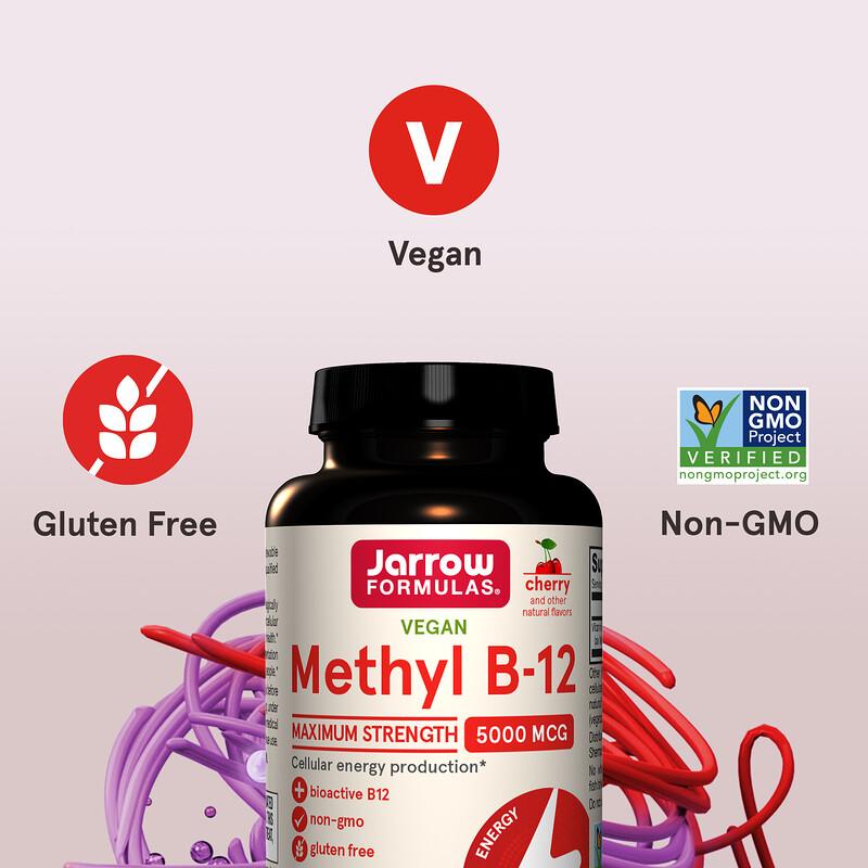 Vegan Methyl B-12, Maximum Strength, Cherry, 5,000 mcg, 60 Chewable Tablets