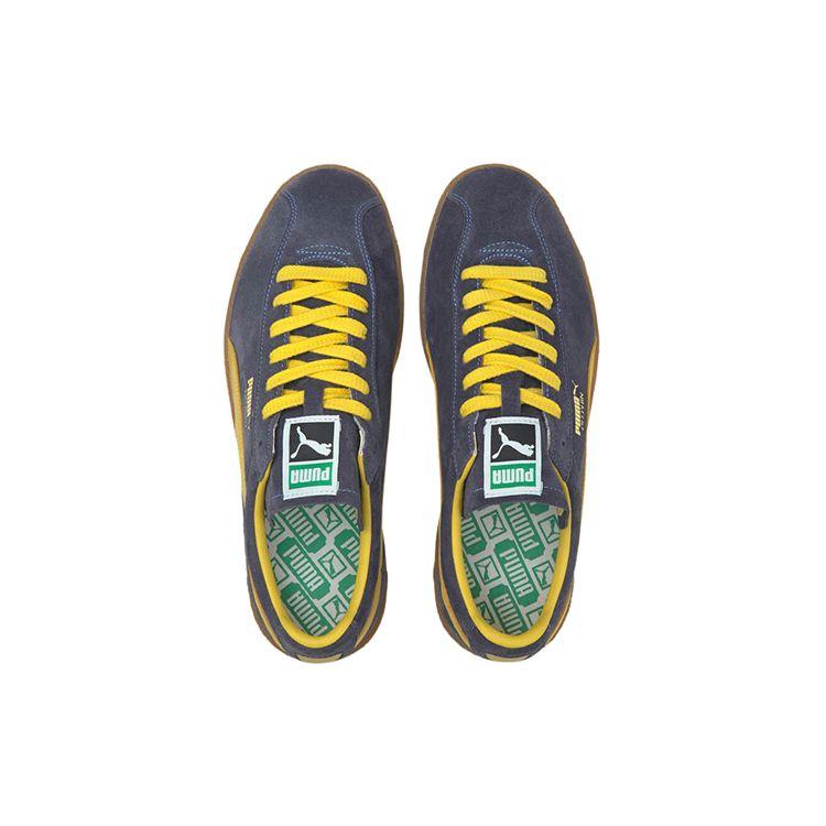 Puma Delphin Шнуровка Ретро Повседневные Низкие Кроссовки Унисекс Кроссовки Синий Белый Коричневый 374980-01