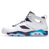 Air Flight Club '91 'Grand Purple Blue Lagoon' GS Jordan 555472-105
