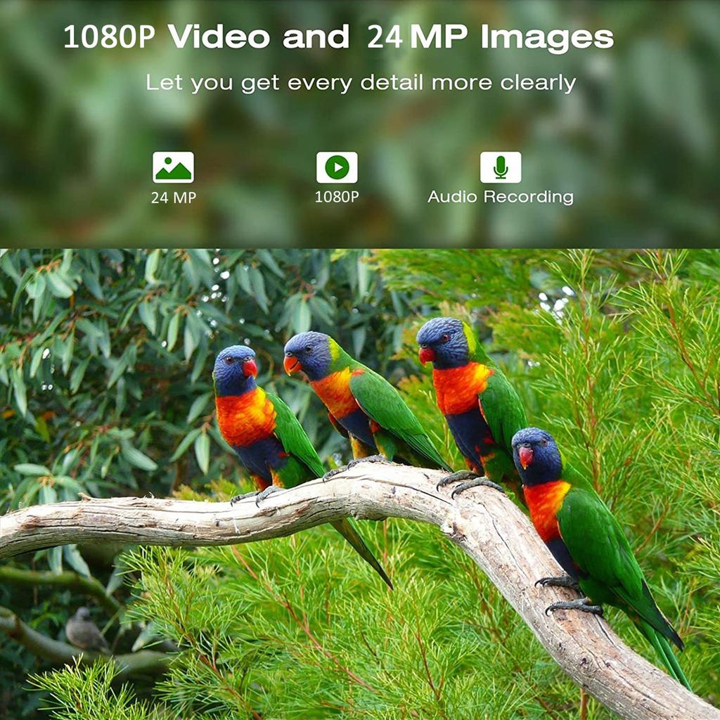 Умная камера-кормушка для птиц 1080P, беспроводная WiFi, на солнечной батарее, камера для наблюдения за птицами