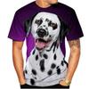 Футболки с 3D-принтом «Далматинцы», модные мужские и женские забавные футболки с коротким рукавом в стиле хип-хоп, большие футболки Harajuku Y2k, детские топы, одежда