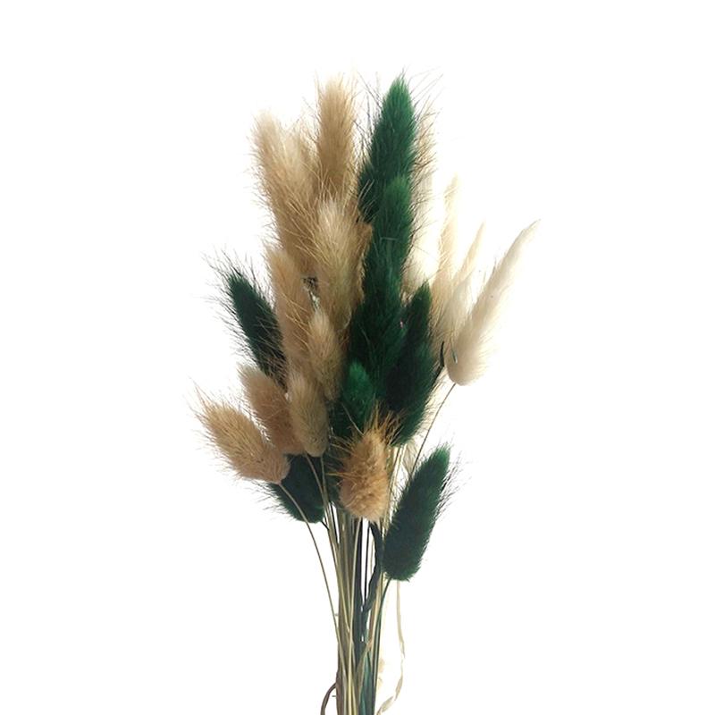 50 шт., букет из сухоцветов с изображением кролика и хвоста кролика, декор для свадебной вечеринки, пушистые пампасы, рождественская цветочная композиция своими руками