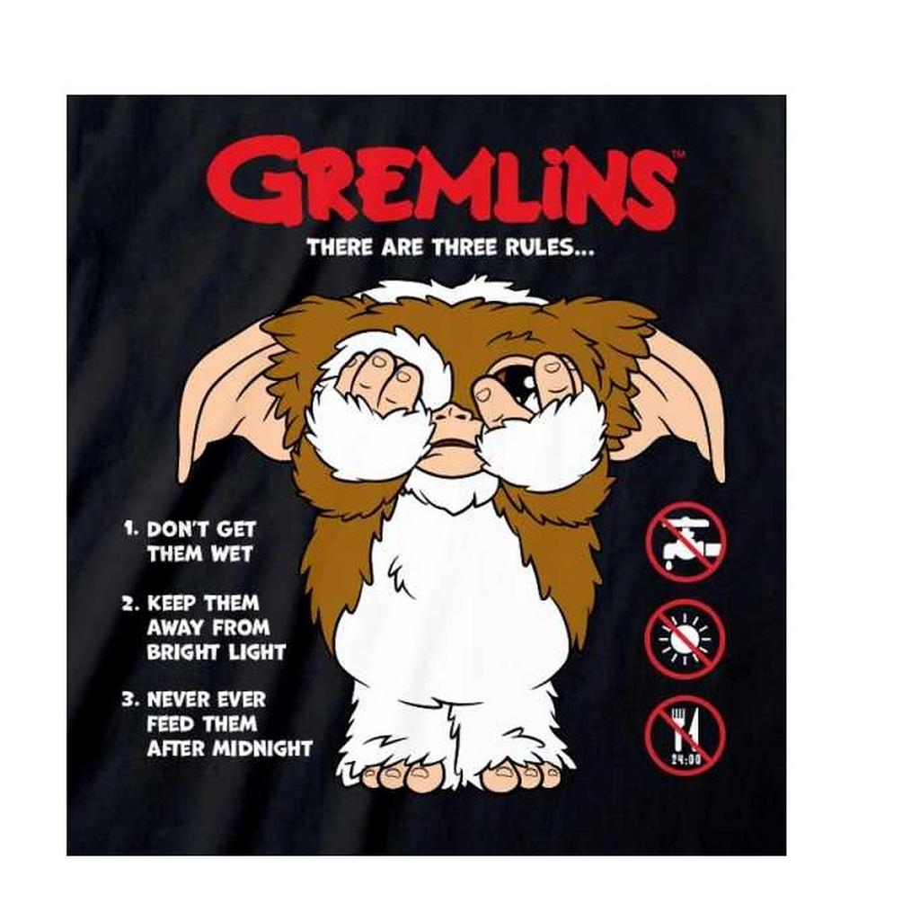Gremlins Unisex Adult The Rules T-Shirt
