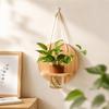 Wooden Wall Hanging Planter Holder Home Ornaments Hydroponic Planter Shelf  Hydroponics