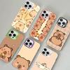 Милый мультяшный Капибара Цветной Чехол Для Телефона Для iPhone 17 16 15 14 13 12 11 Pro Max Plus Pro Оболочка