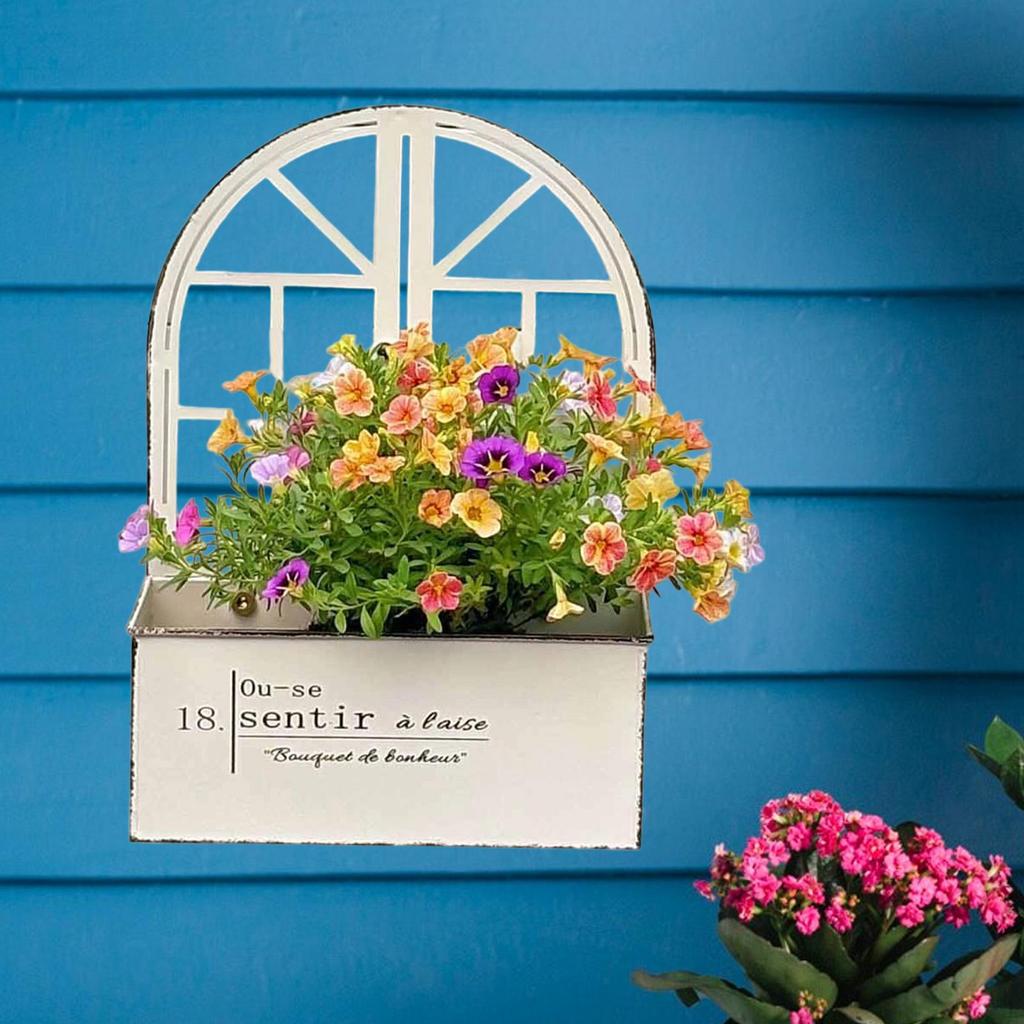 Wall Mount Planter Garden Decor Rustic Practical Metal Ornament Sturdy Plant Pot Hanging Flower