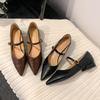 2025 Весенние Ретро Туфли-Мэри Джейн на Низком Каблуке с Одной Планкой и Острым Носком