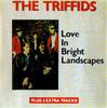 CD TRIFFIDS - Love In Bright Landscapes MCD7973 Megadisc Japan Rock Used