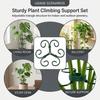 4Pcs Metal Plant Climbing Support Sturdy Triangle Structure Rust-proof Coating for Monstera and Trailing Plants