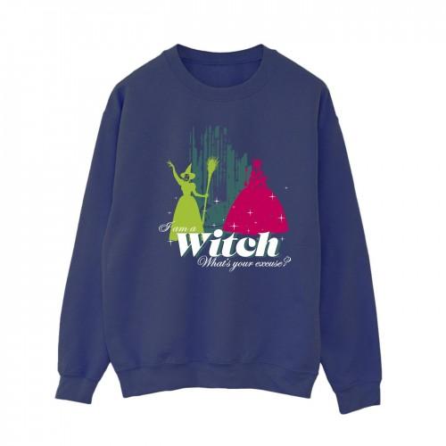 The Wizard Of Oz Womens/Ladies Wicked Witch Sweatshirt