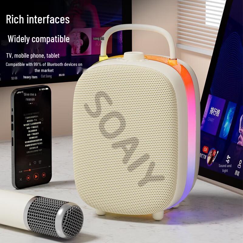 Soaiy Dual Microphone Karaoke Speaker System