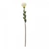 Pincushion Protea Spray Artificial Flower