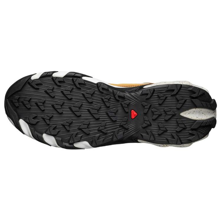 SALOMON Speedverse Prg Ткань Нескользящие Износостойкие Низкие Открытые Функциональные Кроссовки Унисекс Обувь Резина 471503