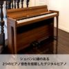 KORG 88-Key Digital Piano, Poetry, Inspires You To Play Chopin, Made In Japan with Warm Wooden Construction, Includes Genuine Headphones and Pedal