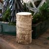 Dulton Birchwood Log Candle Medium Creates a Natural Warmth Candle Made of White Birch Height 15cm Diameter 10.5cm XR23-0579M