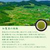 Chiran Kagoshima Deep Steamed Green Japanese Beautiful Dark Green 100g Tea, Prefecture, Tea, Sencha, Leaf, Tea, Tea, First-Catcher Tea, Tea,