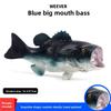 Kids Lateolabrax Japonicus Marine Life Figurine Model Toy For Learning Decor And