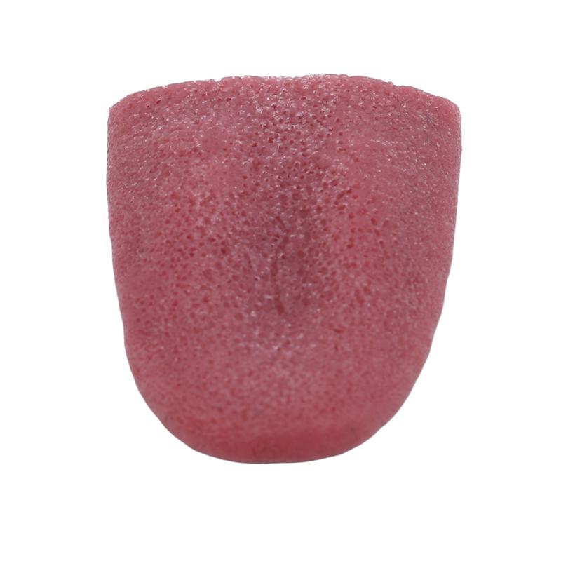 Хэллоуин ужасная опора волшебник розыгрыши игрушки аксессуары для косплея реалистичные язык грубые шутки