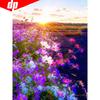 Полная круглая Алмазная картина 5d Пейзаж Изображение Алмазной вышивки Rhinestone