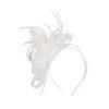 Formal Dress Feathers Mesh Headband Retro Fascinator Headdress  Masquerade Party