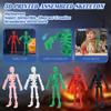 3D Printed Assembled Skeleton Halloween Super Invincible Abstract Creative Ornaments Decorative For Adult And Kids