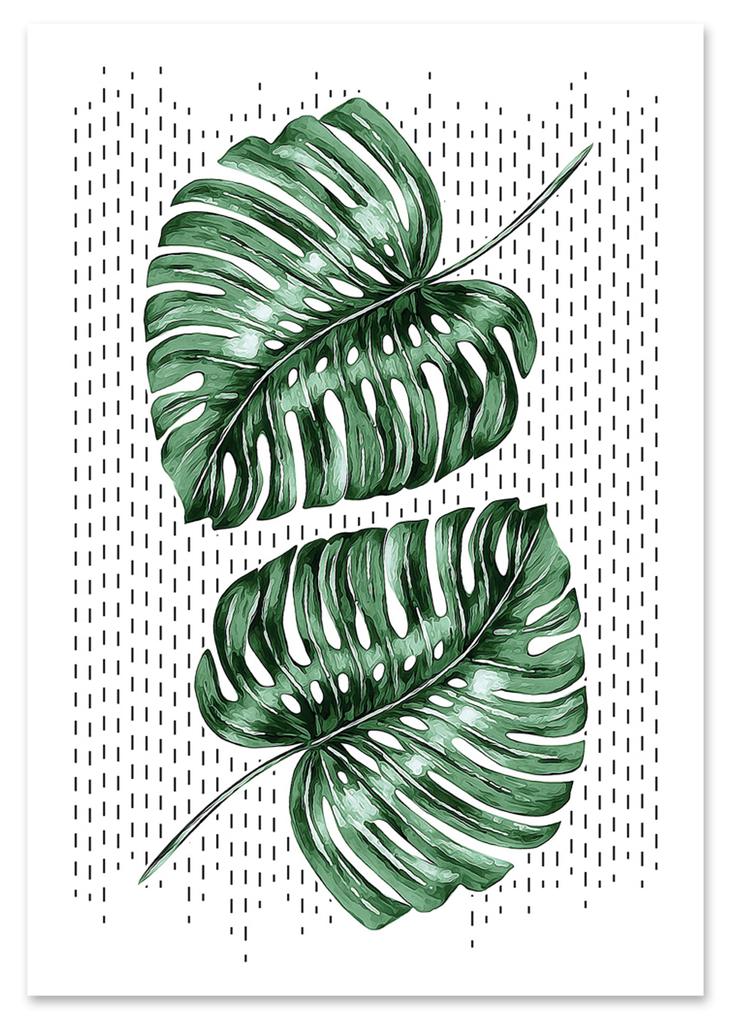 Плакат листья монстеры