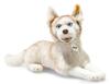 Steiff 033070 Siberian Dui 35 Cm Husky,