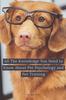 Книга All The Knowledge You Need To Know About Pet Psychology and Pet Training