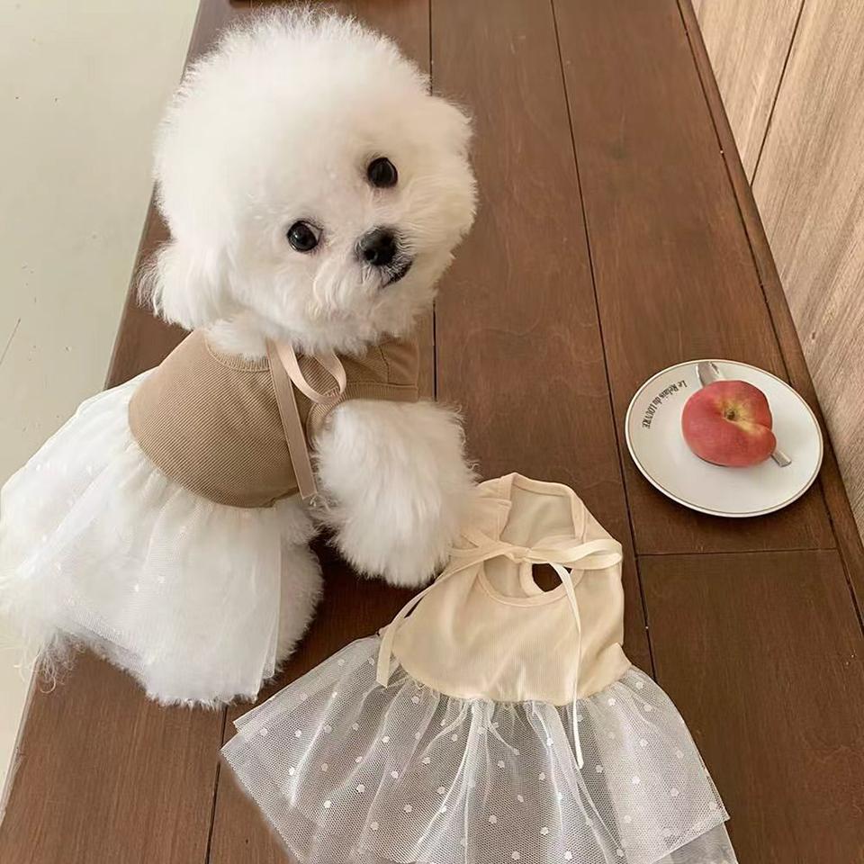 Dot Print Puppy Dress Summer Bow Dog Clothes Bichon Mesh Skirt Teddy Breathable Pullover Gift for Female Dogs XS-XL