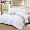 Fuanna Refined Elegant Warm Core Quilt