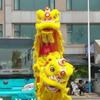 Foshan Southern Lion Dance Head Costume