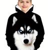 Boys' Stylish 3D Print Long Sleeve Hoodie - Active Hoodies with Cozy Sweatshirt Design, Perfect for Spring and Fall