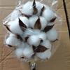 Natural Dried Cotton Flower Branches - 6 or 10 Heads, Preserved Kapok for Home Decoration & Christmas Decor