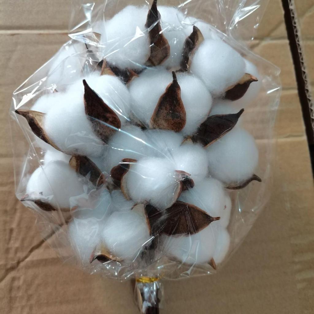 Natural Dried Cotton Flower Branches - 6 or 10 Heads, Preserved Kapok for Home Decoration & Christmas Decor