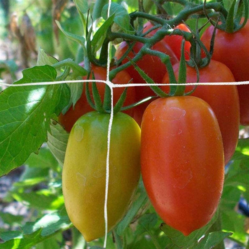 Решетчатая сетка для растений, сверхмощная поддержка растений, виноградная лоза, гидропоника, садовая сетка, аксессуары, садовый кронштейн, сетки для скалолазания