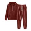 2 Pcs/Set Women Hoodie Pants Suit Solid Color Plush Long Sleeves Thick Top Elastic Waist Ankle-banded Trousers Sport Fitness