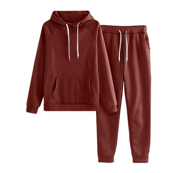 2 Pcs/Set Women Hoodie Pants Suit Solid Color Plush Long Sleeves Thick Top Elastic Waist Ankle-banded Trousers Sport Fitness