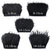 5 Kinds Size Ostrich Feathers Trims Fringe Black 6-22cm Natural Feather Trimming Ribbon for Sewing Headdress Cuffs Crafts Plume