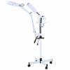 3in1 UV Facial Steamer Cold Light LED 5X Magnifier Floor Lamp