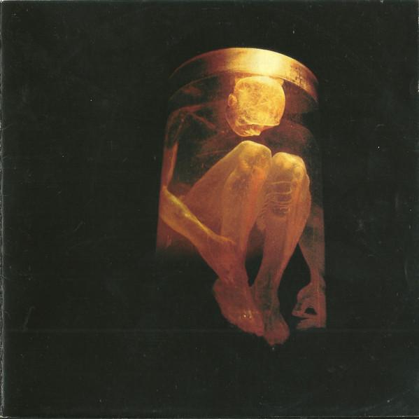 CD ALICE IN CHAINS - Nothing Safe: The Best Of The Box CK63649,63649S1 Columbia 1999 US Rock Used