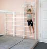 Karussell Pull-Up Bar White