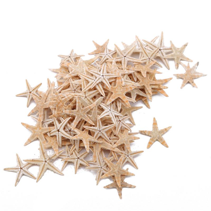 1 Box Natural Starfish Seashell Beach Craft Natural Sea Stars DIY Beach Wedding Decoration Crafts Home Decor