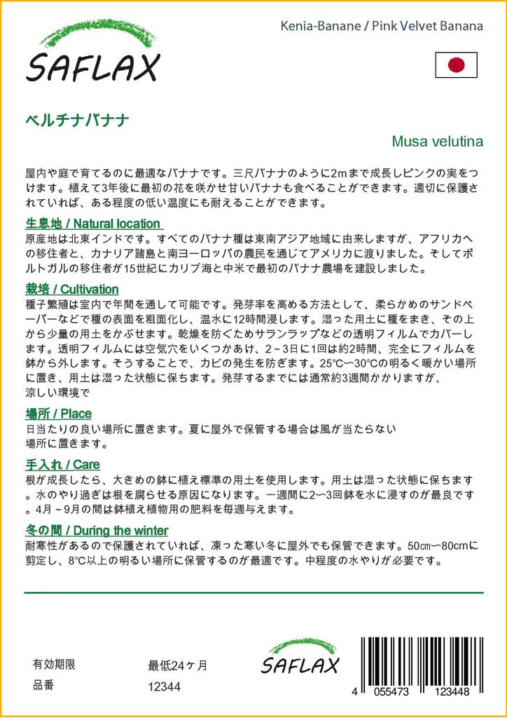 SAFLAX Подарочный набор - Банан Pink Velvet - 8 семян - С подарочной коробкой, карточкой, этикеткой и субстратом для горшков - Musa velutina