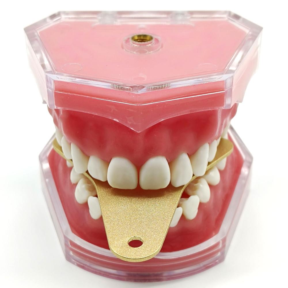 1 комплект зубных лотков, набор зубных передних зажимов, набор зажимов Lucia, набор слепочных лотков для стоматологической лаборатории для достижения центрального соотношения, алюминиевый сплав