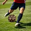1pc Wise Owl Library Theme Soccer Ball Football, Size 5, Lightweight PVC, Outdoor Training Soccer Ball,Sports Gift t61445