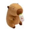Bottle Capybara Ab Dress Up Cartoon Plush Toys Childres Birthday Dolls Gifts