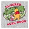 Winnie the Pooh Unisex Adult Hundred Acre Wood Badge T-Shirt