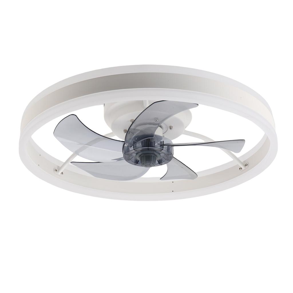 Ceiling Fan with LED Light Modern Stepless Dimming 6 Speed Timer Remote Control Ceiling Fan Light for Home Living Room
