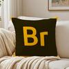 software professional AAAdobe CC Cushion Cover Pillowcase Antidustmite living Room Sofa Decor Cushion Room