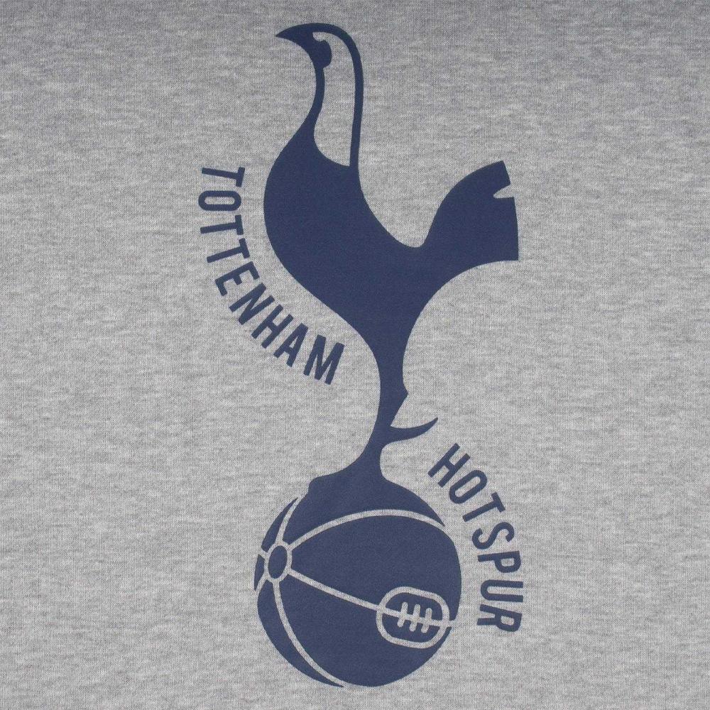 Tottenham Hotspur FC Mens Graphic Fleece Hoodie